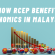 Impact of RCEP on Malaysia's SMEs