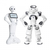 Artificial Intelligence & Robots